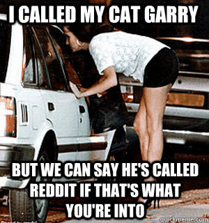 I called my cat Garry But we can say he's called Reddit if that's what you're into  Karma Whore