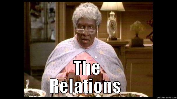 Nutty Professor Granny -  THE            RELATIONS             Misc