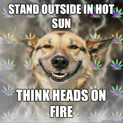 Stand outside in hot sun think heads on fire   Stoner Dog