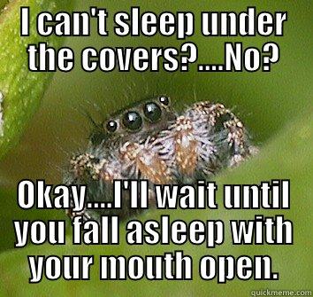 I CAN'T SLEEP UNDER THE COVERS?....NO? OKAY....I'LL WAIT UNTIL YOU FALL ASLEEP WITH YOUR MOUTH OPEN. Misunderstood Spider