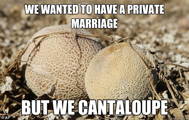 We wanted to have a private marriage But we Cantaloupe - We wanted to have a private marriage But we Cantaloupe  Bad Pun Mellons