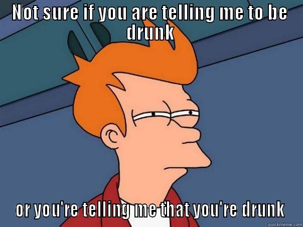 NOT SURE IF YOU ARE TELLING ME TO BE DRUNK OR YOU'RE TELLING ME THAT YOU'RE DRUNK Futurama Fry