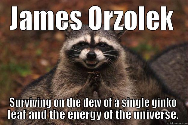 JAMES ORZOLEK SURVIVING ON THE DEW OF A SINGLE GINKO LEAF AND THE ENERGY OF THE UNIVERSE. Evil Plotting Raccoon