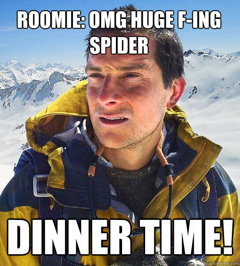 Roomie: OMG huge F-ing spider Dinner time! - Roomie: OMG huge F-ing spider Dinner time!  Bear Grylls