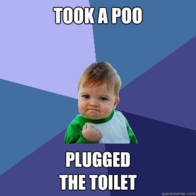 Took a poo PLUGGED
THE TOILET  Success Kid