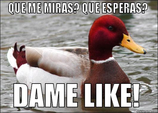 QUE ME MIRAS? QUE ESPERAS? DAME LIKE! Malicious Advice Mallard