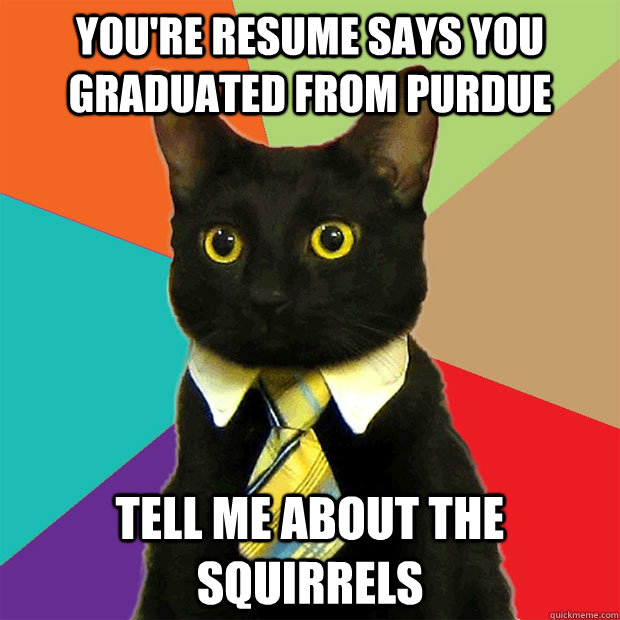 You're resume says you graduated from purdue tell me about the squirrels  Business Cat