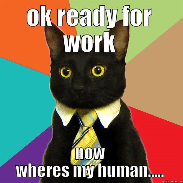 OK READY FOR WORK NOW WHERES MY HUMAN..... Business Cat