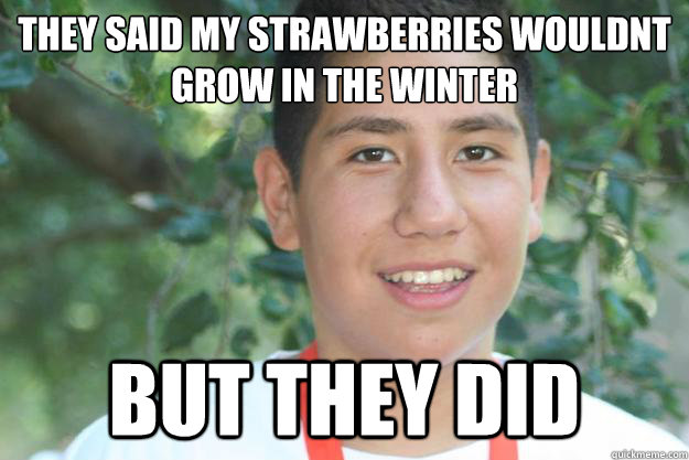 they said my strawberries wouldnt grow in the winter BUT THEY DID  Si se puede Alan