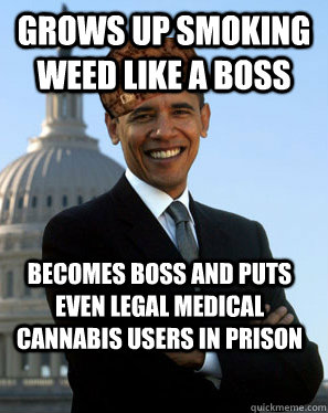 grows up smoking weed like a boss becomes boss and puts even legal medical cannabis users in prison  Scumbag Obama