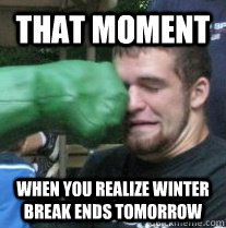 That Moment when you realize winter break ends tomorrow - That Moment when you realize winter break ends tomorrow  Misc