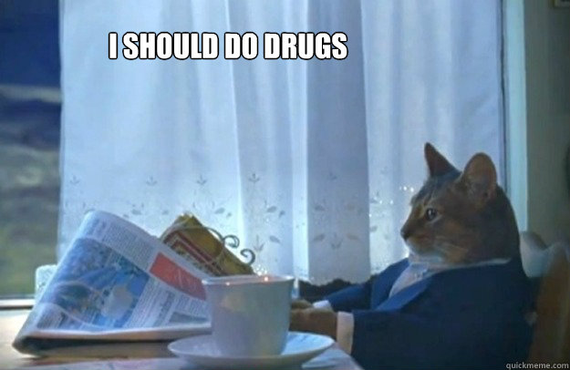 I should do drugs  Sophisticated Cat