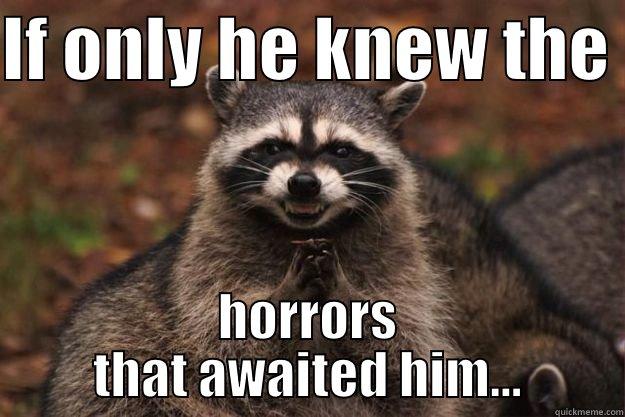 IF ONLY HE KNEW THE  HORRORS THAT AWAITED HIM... Evil Plotting Raccoon