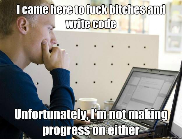 I came here to fuck bitches and write code Unfortunately, I'm not making progress on either  Programmer