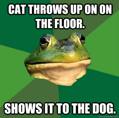 cat throws up on on the floor. Shows it to the dog.  Foul Bachelor Frog