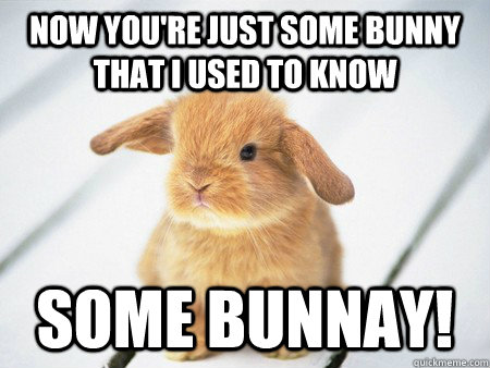 Now you're just some bunny that I used to know Some BUNNAY! - Now you're just some bunny that I used to know Some BUNNAY!  Some Bunnay