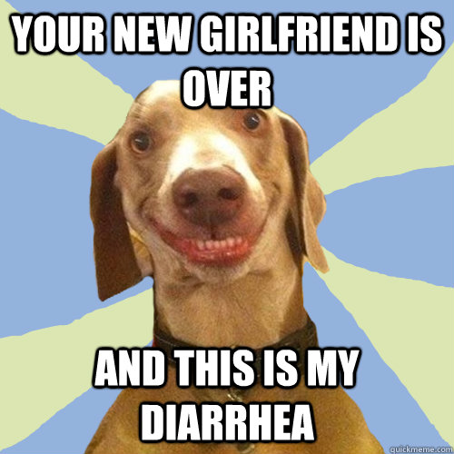 your new girlfriend is over and this is my diarrhea   Disgusting Doggy