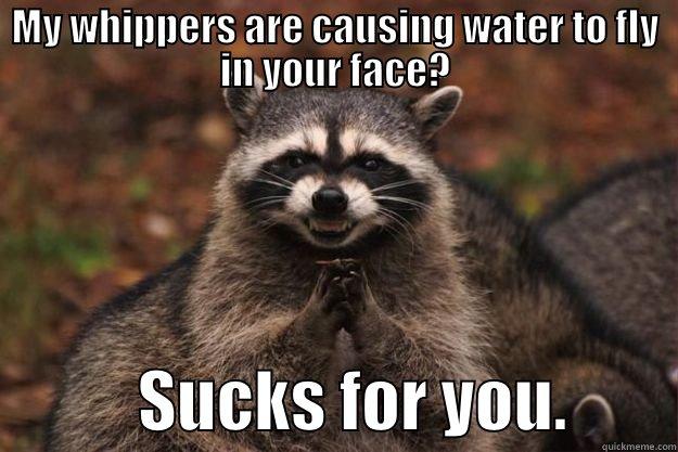 MY WHIPPERS ARE CAUSING WATER TO FLY IN YOUR FACE?            SUCKS FOR YOU.        Evil Plotting Raccoon