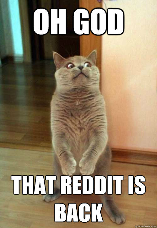 Oh god that reddit is back  Horrorcat