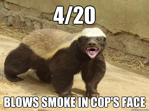 4/20 Blows smoke in cop's face  