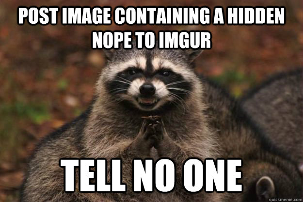 Post image containing a hidden nope to imgur Tell no one  Evil Plotting Raccoon