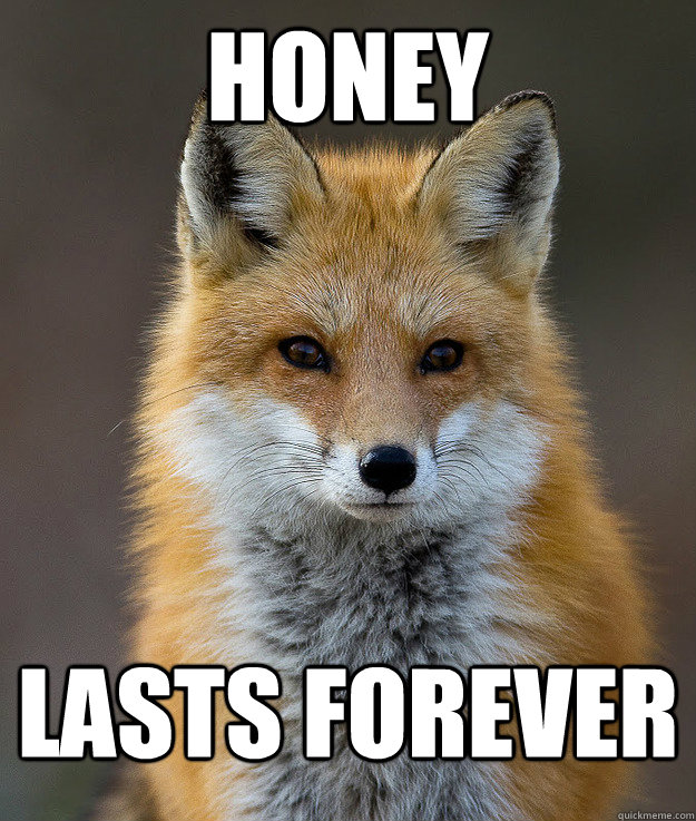 Honey  lasts forever  Fun Fact Fox