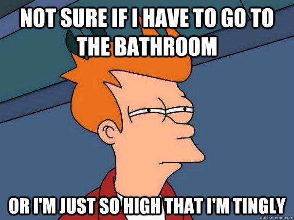 Not sure if I have to go to the bathroom Or I'm just so high that I'm tingly  Futurama Fry