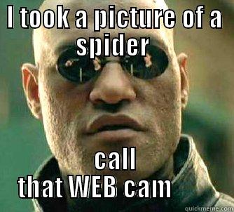 Whats up - I TOOK A PICTURE OF A SPIDER  CALL THAT WEB CAM         Matrix Morpheus