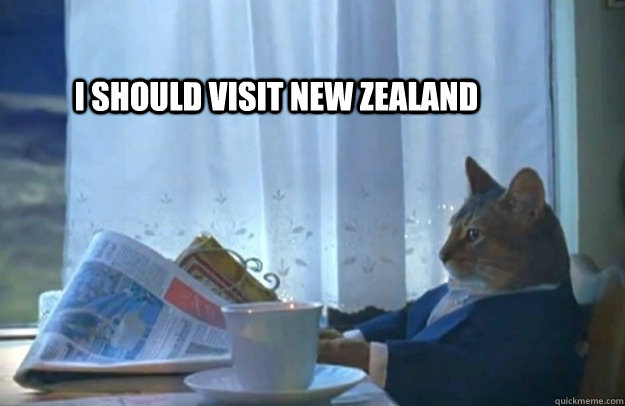 I should visit New Zealand  Sophisticated Cat