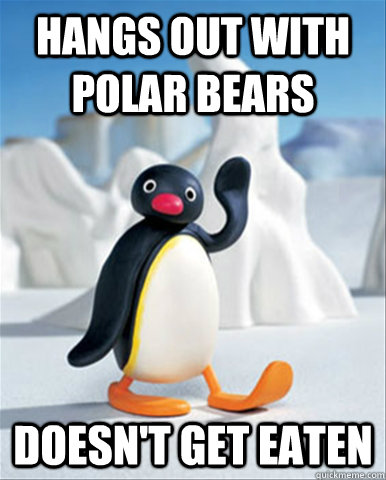 Hangs out with polar bears doesn't get eaten - Hangs out with polar bears doesn't get eaten  Socially Awesome Pingu