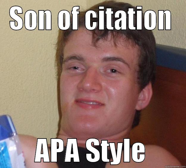 SON OF CITATION APA STYLE 10 Guy