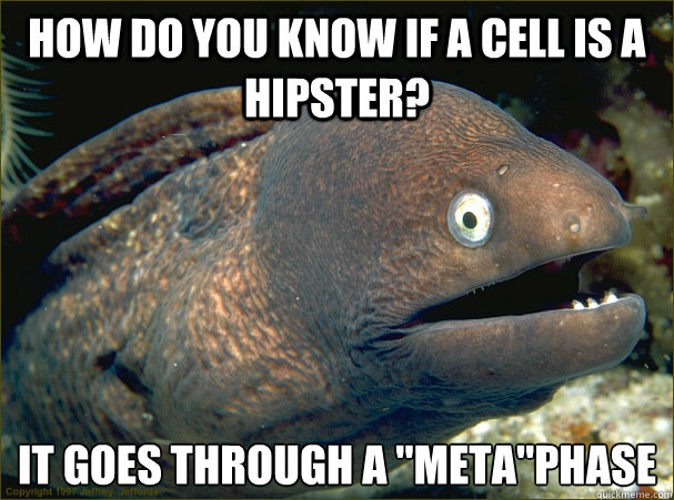 How do you know if a cell is a hipster? It goes through a 