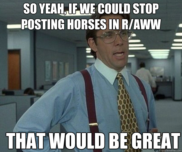 So yeah, if we could stop posting horses in r/aww THAT WOULD BE GREAT  that would be great