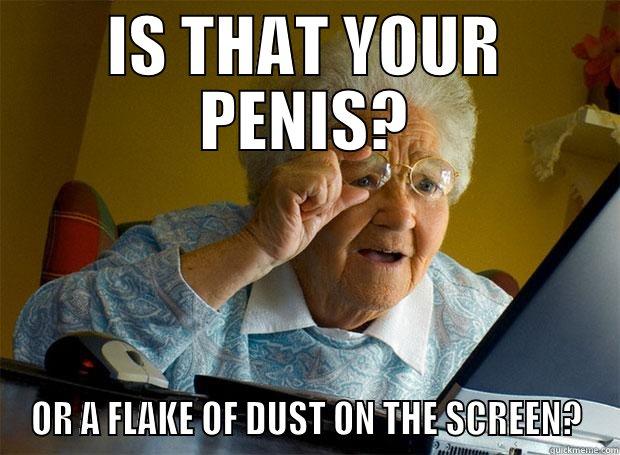 IS THAT YOUR PENIS? OR A FLAKE OF DUST ON THE SCREEN? Grandma finds the Internet