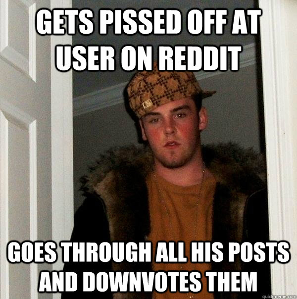 Gets pissed off at user on reddit goes through all his posts and downvotes them  Scumbag Steve