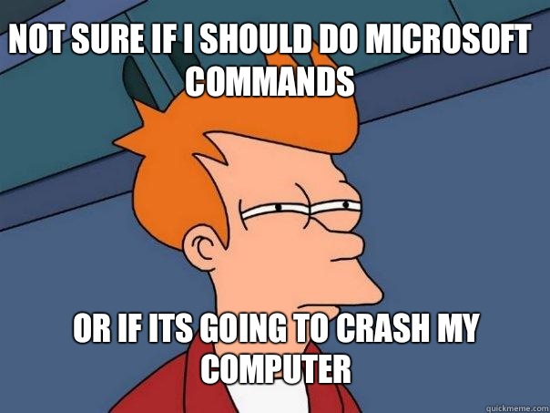 not sure if I should do Microsoft commands or if its going to crash my computer  Futurama Fry