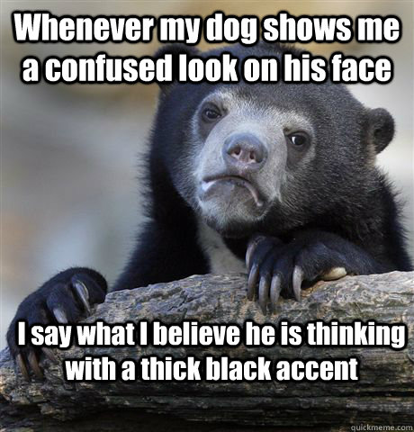 Whenever my dog shows me a confused look on his face I say what I believe he is thinking with a thick black accent  Confession Bear