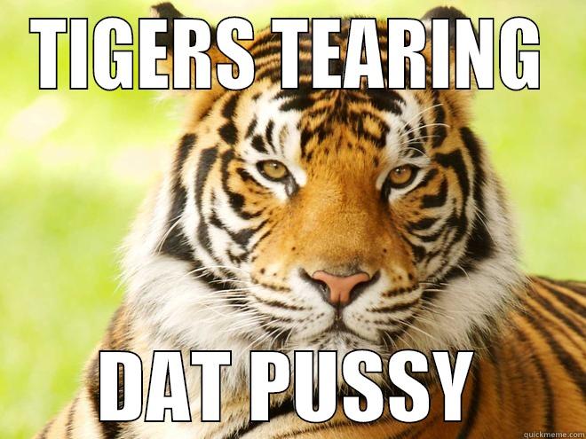 TIGERS TEARING DAT PUSSY Misc