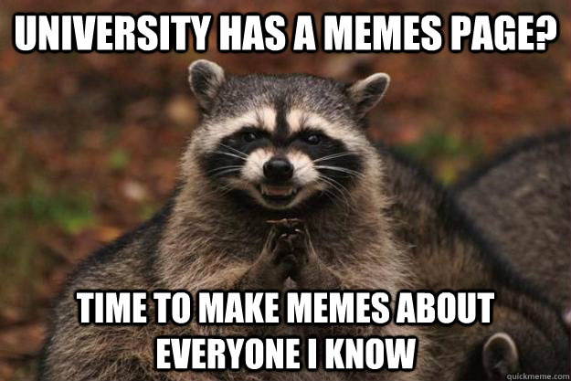 university has a memes page? time to make memes about everyone I know  Evil Plotting Raccoon