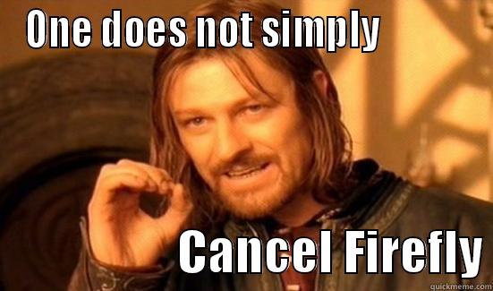 ONE DOES NOT SIMPLY                               CANCEL FIREFLY Boromir