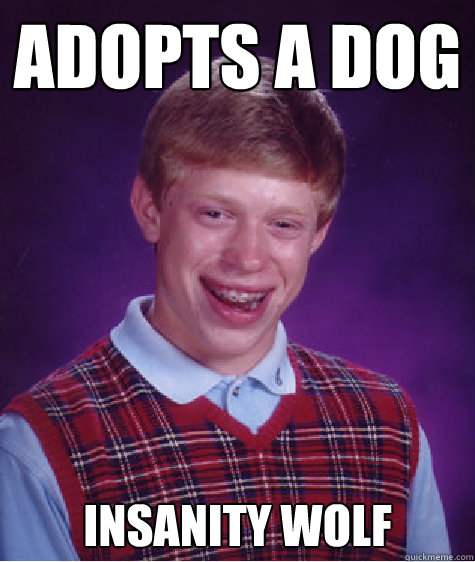 Adopts a dog Insanity Wolf Caption 3 goes here - Adopts a dog Insanity Wolf Caption 3 goes here  Misc