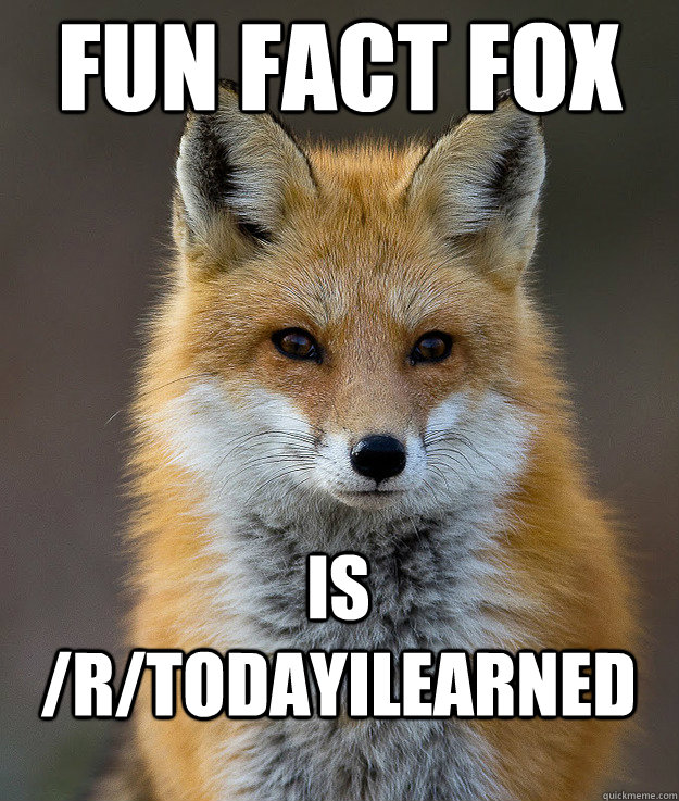 FUN fact fox  is /r/todayilearned  Fun Fact Fox