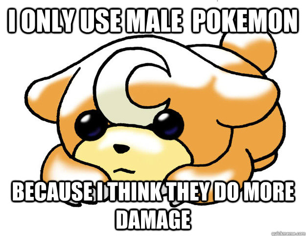 I only use male  Pokemon because i think they do more damage - I only use male  Pokemon because i think they do more damage  Confession Teddiursa