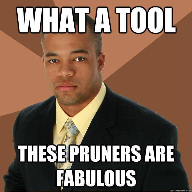 What a tool these pruners are fabulous  Successful Black Man