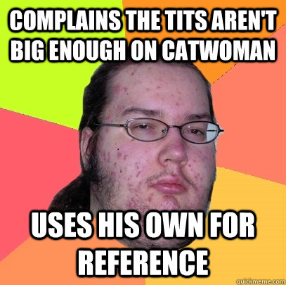 complains the tits aren't big enough on catwoman uses his own for reference  Butthurt Dweller