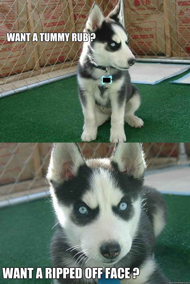 Want a tummy rub ? Want a ripped off face ?  Insanity puppy