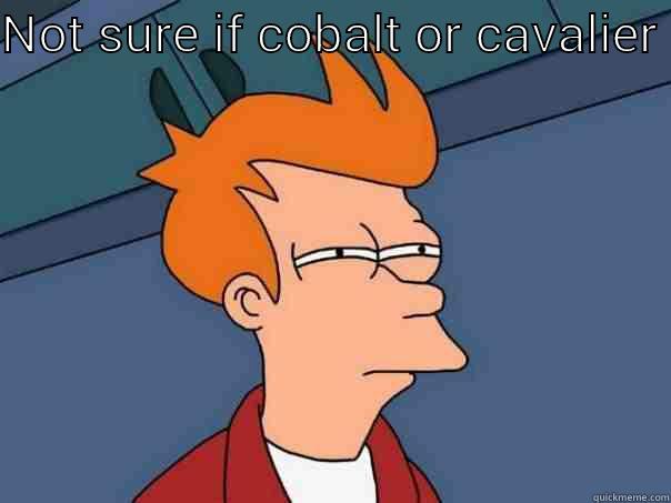 NOT SURE IF COBALT OR CAVALIER   Futurama Fry