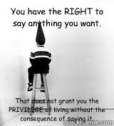 You have the RIGHT to say anything you want. That does not grant you the PRIVILEGE of living without the consequence of saying it.  Dunce Cap