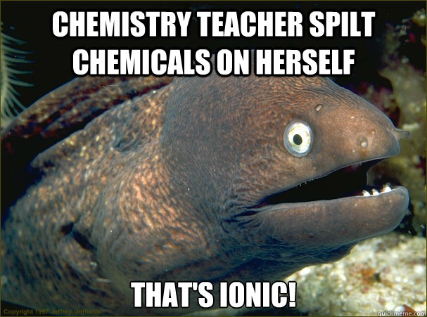 chemistry teacher spilt chemicals on herself that's ionic!   Bad Joke Eel