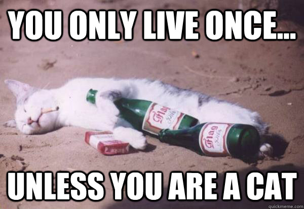 You Only Live Once... Unless You Are A Cat - You Only Live Once... Unless You Are A Cat  Misc